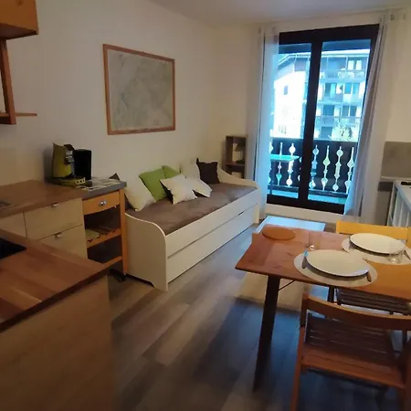 Studio Chamonix Apartment *